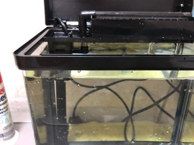 博宇魚缸自帶的過濾器怎么樣用：博宇魚缸自帶的過濾器使用方法