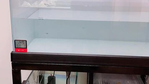 玻璃膠粘魚缸能用幾年時間：玻璃膠粘接魚缸的使用壽命 玻璃膠粘魚缸能用幾年時間：玻璃膠粘接魚缸的使用壽命 魚缸百科 第2張