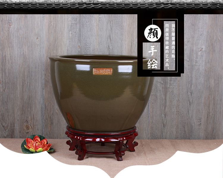 茶葉放魚缸里養黃水:茶葉放入魚缸中可以對魚的生長和水質產生一定的影響 魚缸百科 第1張 茶葉放魚缸里養黃水:茶葉放入魚缸中可以對魚的生長和水質產生一定的影響 茶葉放魚缸里養黃水:茶葉放入魚缸中可以對魚的生長和水質產生一定的影響 魚缸百科 第1張