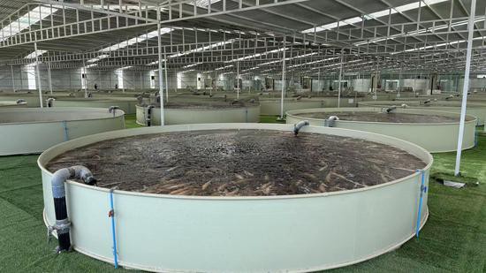 和田縣水族店，新疆和田海洋水族館