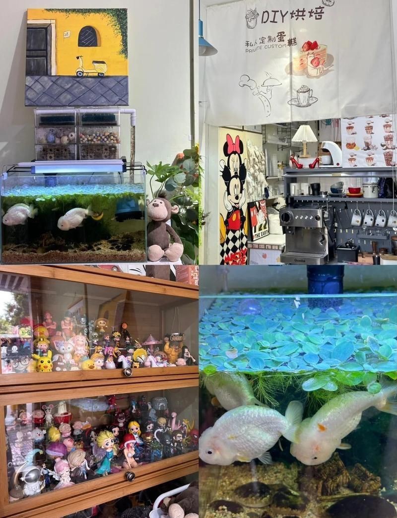 清遠魚缸店，清遠市清城區新城星洋生態魚缸店 清遠魚缸店，清遠市清城區新城星洋生態魚缸店 全國水族館企業名錄 第14張