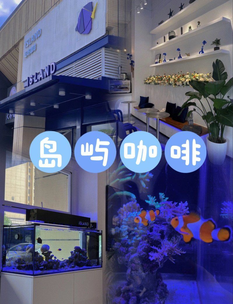 清遠魚缸店，清遠市清城區新城星洋生態魚缸店 清遠魚缸店，清遠市清城區新城星洋生態魚缸店 全國水族館企業名錄 第12張
