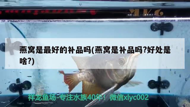 臨淄區(qū)雪宮問生堂保健用品店