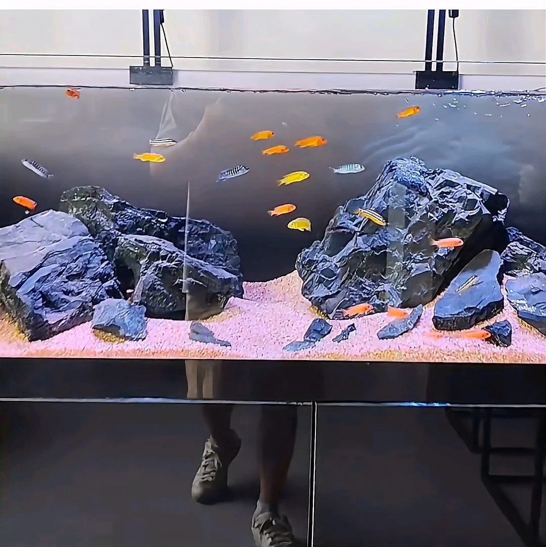 2025新型魚缸，2025年智能魚缸市場迎來革新浪潮58%11小米