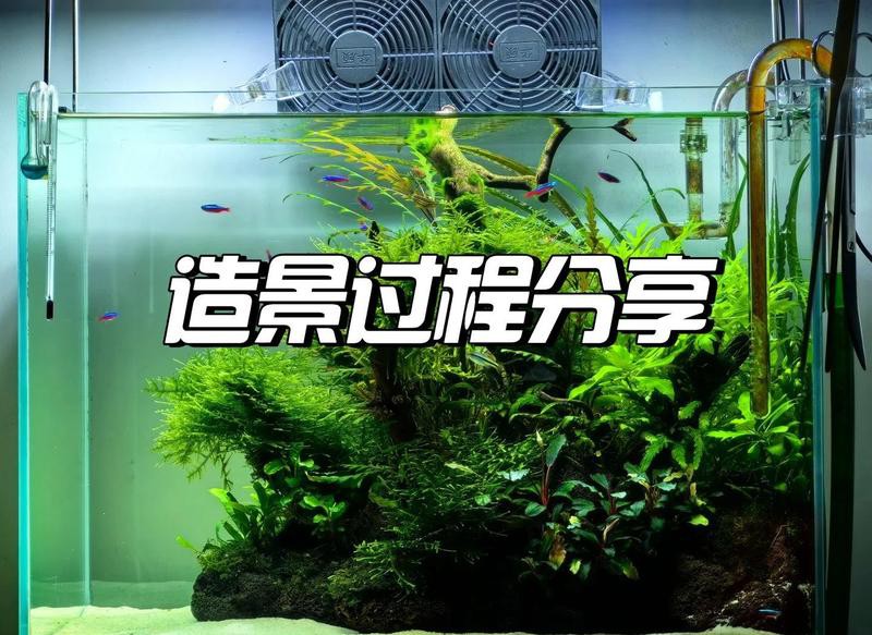2025新型魚缸，2025年智能魚缸市場迎來革新浪潮58%11小米