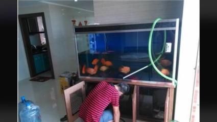 搬家的時候魚缸怎么搬：搬家時魚缸搬運方法和注意事項在搬運魚缸之前需要做好準備工作
