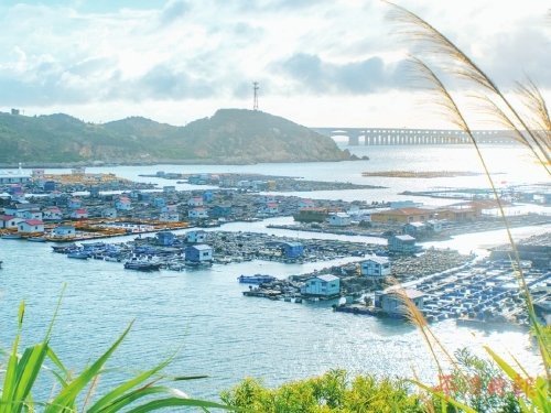 平潭龍魚店，平潭有哪些著名的龍魚店