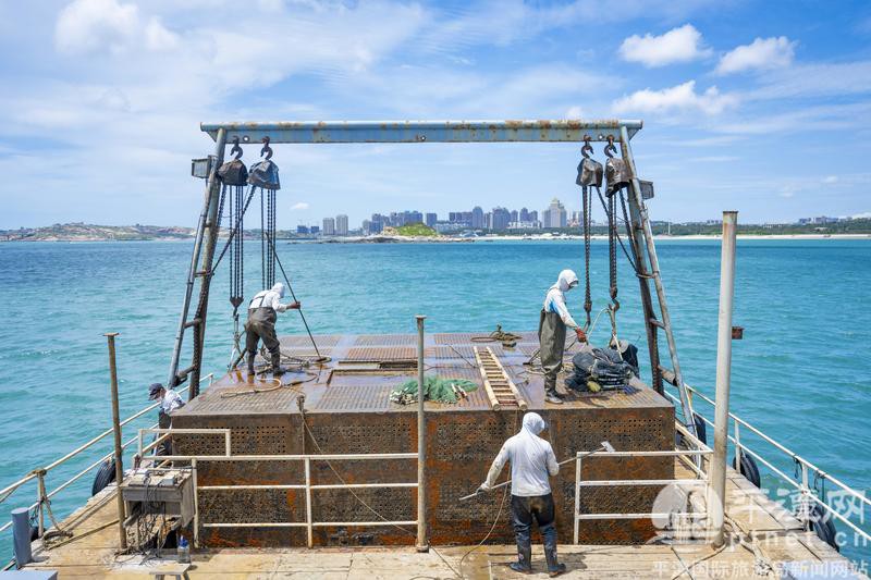 平潭龍魚店，平潭有哪些著名的龍魚店