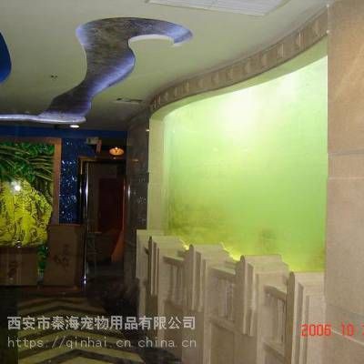 西安港務區魚缸店【關于西安國際港務區魚缸零售市場的綜合信息整理信息整理】