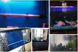 白溝魚缸批發市場在哪里有賣：保定白溝鎮魚缸批發市場