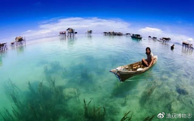 馬來西亞漁場排名，馬來西亞10個最佳釣魚地點