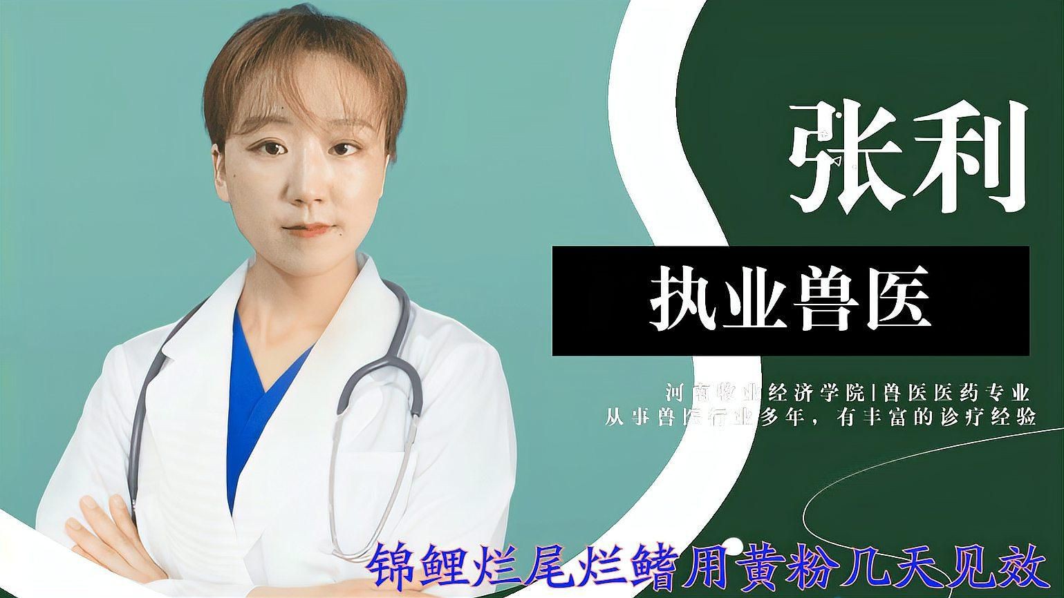 爛鰭爛尾的恢復期是多久？【智能模式回答完成調用工具：百度健康魚類爛鰭爛尾的恢復期】 爛鰭爛尾的恢復期是多久？【智能模式回答完成調用工具：百度健康魚類爛鰭爛尾的恢復期】 龍魚百科 第6張