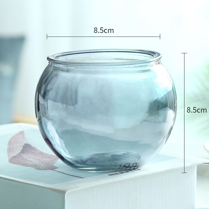 玻璃瓶魚缸多久換一次水合適：魚缸換水的注意事項魚缸換水的頻率并沒有嚴格的規(guī)定 玻璃瓶魚缸多久換一次水合適：魚缸換水的注意事項魚缸換水的頻率并沒有嚴格的規(guī)定 魚缸百科 第2張