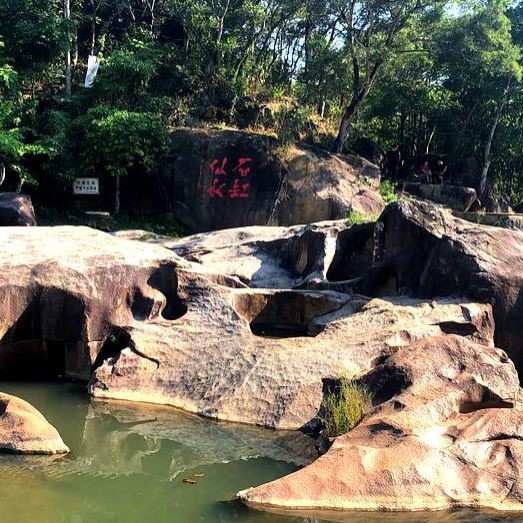 揭陽水族館【探秘揭陽水族館:一場跨越水陸的奇幻之旅】 全國水族館企業名錄 第5張 揭陽水族館【探秘揭陽水族館:一場跨越水陸的奇幻之旅】 揭陽水族館【探秘揭陽水族館:一場跨越水陸的奇幻之旅】 全國水族館企業名錄 第5張