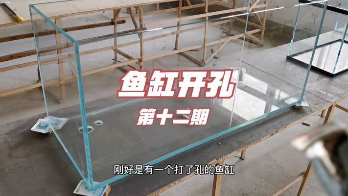 玻璃魚缸打孔方法視頻：關于玻璃魚缸打孔的一些信息