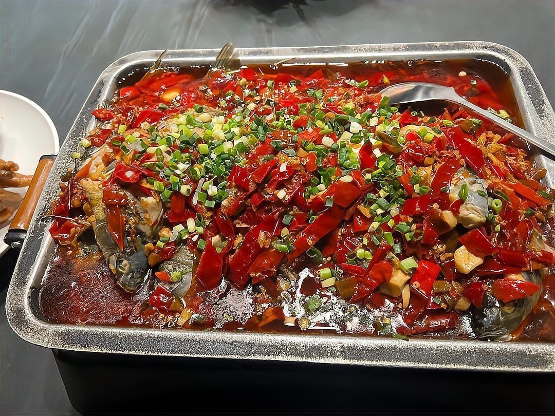 萬(wàn)州龍魚(yú)店【萬(wàn)州有哪些知名的龍魚(yú)店】