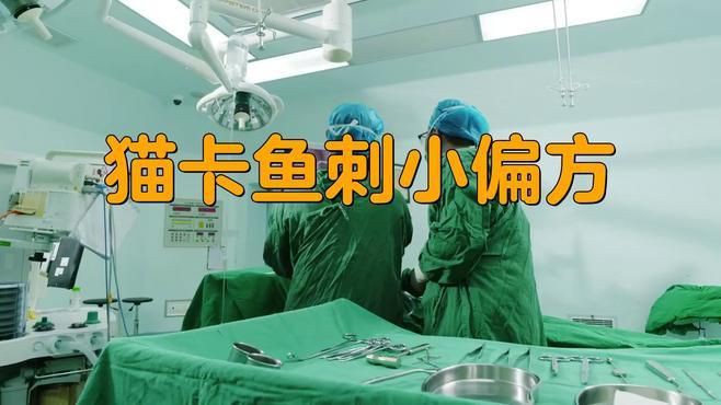 貓吃了魚骨頭后需要做什么，當(dāng)貓吃了魚骨頭后，主人需采取一系列保障其健康