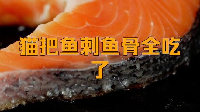 貓吃了魚骨頭后需要做什么，當(dāng)貓吃了魚骨頭后，主人需采取一系列保障其健康