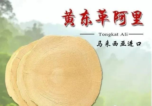 東革阿里十大神奇功效【東革阿里有哪些功效？】