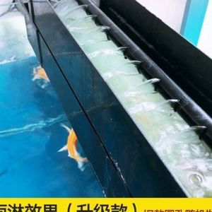 pvc自制魚缸過濾槽怎么做：pvc自制魚缸過濾槽制作過程分享 pvc自制魚缸過濾槽怎么做：pvc自制魚缸過濾槽制作過程分享 魚缸百科 第1張