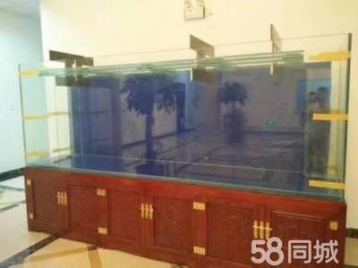 大型魚缸制作視頻教學：大型魚缸制作全過程，大型魚缸制作，從設計到完成的專業 大型魚缸制作視頻教學：大型魚缸制作全過程，大型魚缸制作，從設計到完成的專業 魚缸百科 第1張