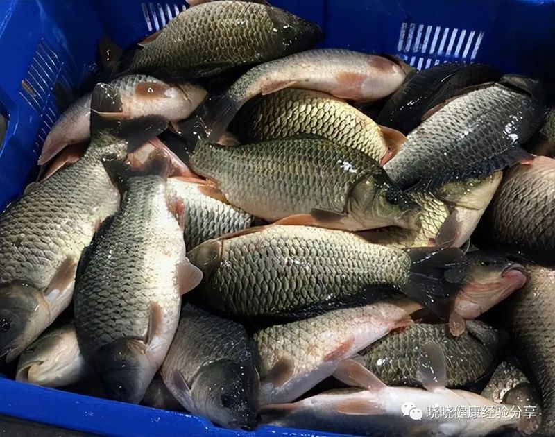 甲醛最多的6種魚【停止吃這6種魚，或含有甲醛和重金屬,看完請轉告身邊人,生活多知道】