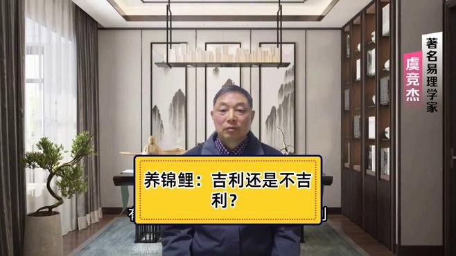 為什么不建議養錦鯉【養錦鯉魚的10大禁忌】
