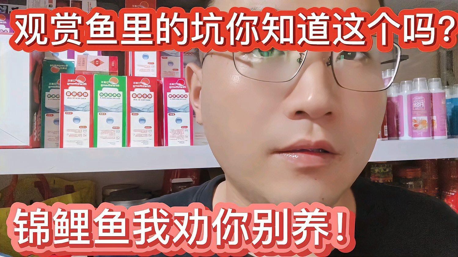 為什么不建議養錦鯉【養錦鯉魚的10大禁忌】