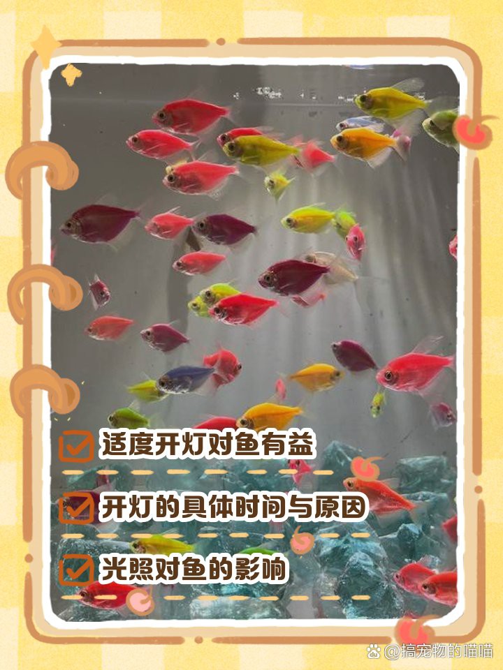 養魚為什么晚上要開燈，《養魚為什么晚上要開燈》在魚類養殖中引起的恐慌性