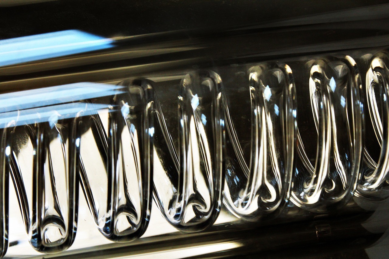 迎賓魚觀賞魚觀賞魚能混養嗎視頻和觀賞魚能混養嗎，觀賞魚可以混養嗎視頻