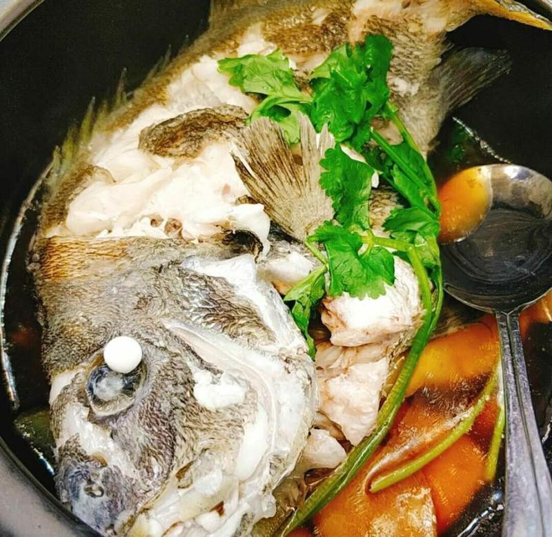 日土龍魚店，「鱘龍魚專門店」空降珠海,花前月下拿捏你的crush!