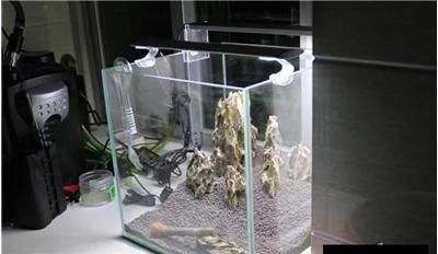 超白魚缸跟普通魚缸區(qū)別