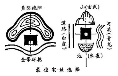 蘇虎魚跟印尼虎區(qū)別(蘇門答臘虎魚和印尼虎魚的區(qū)別)
