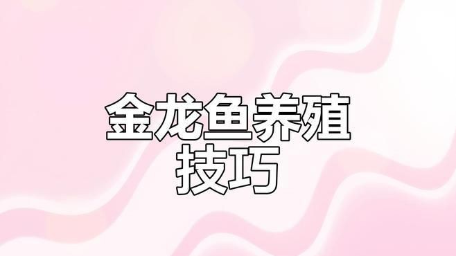 古典龍魚飼料選擇【古典龍魚的飼料選擇需兼顧營養均衡、安全性及發色需求】 龍魚百科 第8張 古典龍魚飼料選擇【古典龍魚的飼料選擇需兼顧營養均衡、安全性及發色需求】 古典龍魚飼料選擇【古典龍魚的飼料選擇需兼顧營養均衡、安全性及發色需求】 龍魚百科 第8張