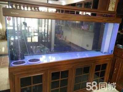 大型魚缸怎么搬運上下樓梯視頻教學：如何安全有效地搬運大型魚缸上下樓梯，大型魚缸上下樓梯搬運攻略，安全有效，附視頻教學詳解 大型魚缸怎么搬運上下樓梯視頻教學：如何安全有效地搬運大型魚缸上下樓梯，大型魚缸上下樓梯搬運攻略，安全有效，附視頻教學詳解 魚缸百科 第4張