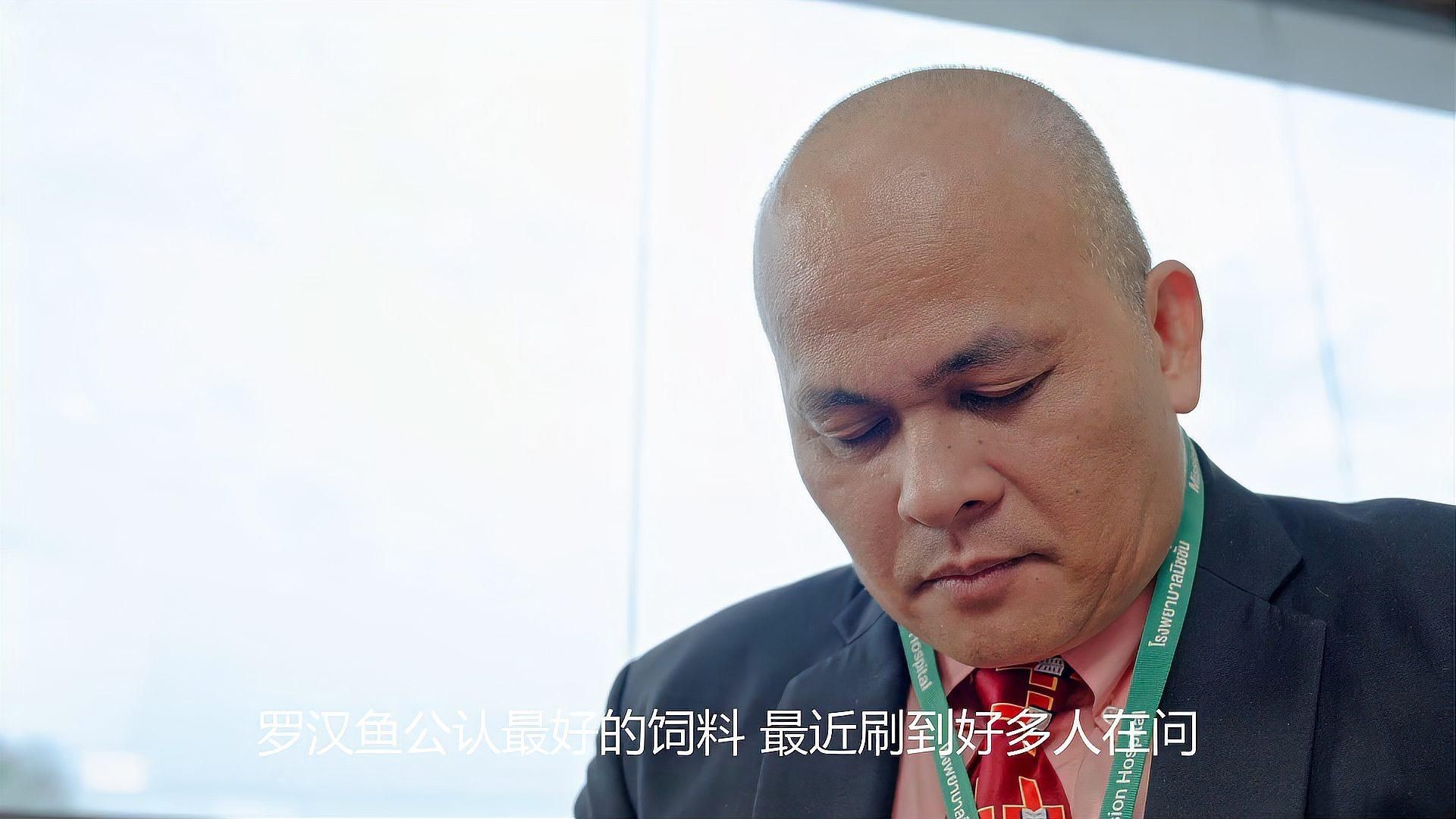 口碑最好的羅漢魚糧，羅漢魚公認最好的飼料不知真假