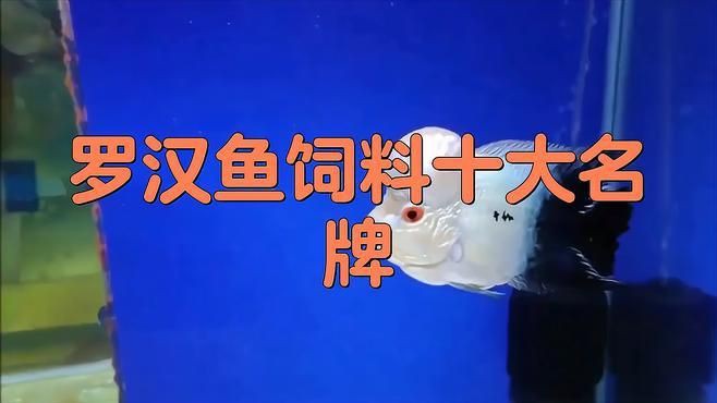 口碑最好的羅漢魚糧，羅漢魚公認最好的飼料不知真假