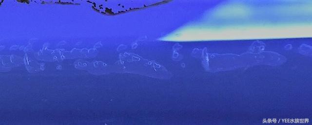 蘇州德勝住宅研究院有限公司（蘇州德勝住宅研究院有限公司怎么樣）德勝住宅研究院有限公司深度剖析，實力、成果與行業影響力