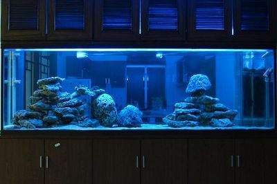 大型亞克力魚缸定制：大型亞克力魚缸定制流程，大型亞克力魚缸定制，流程詳解與注意事項全攻略 大型亞克力魚缸定制：大型亞克力魚缸定制流程，大型亞克力魚缸定制，流程詳解與注意事項全攻略 魚缸百科 第4張