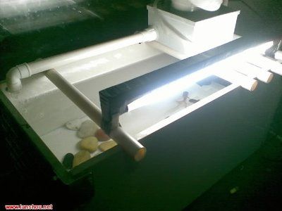 瓷磚制作魚缸過濾：如何制作魚缸過濾系統