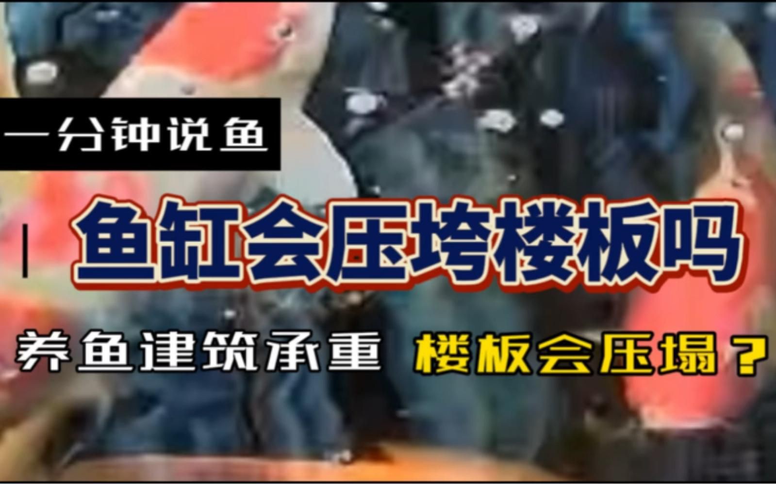 魚缸擺放時需要注意哪些科學細節？，《魚缸擺放的科學細節》