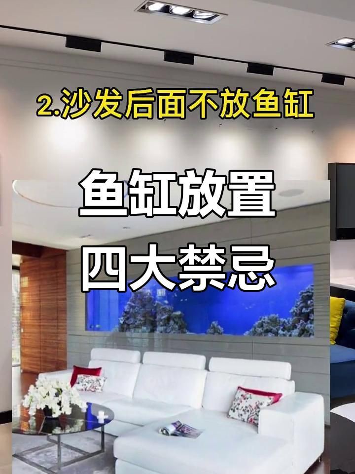魚缸擺放時需要注意哪些科學細節？，《魚缸擺放的科學細節》