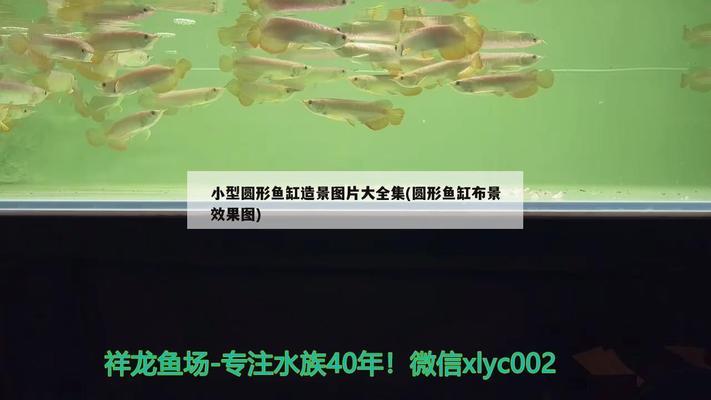 肥城市海瑞水族館（肥城市海瑞水族館電話）
