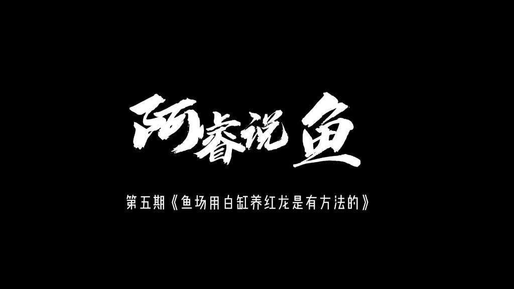 白缸養殖紅龍魚的優缺點，白缸養殖紅龍的優缺點