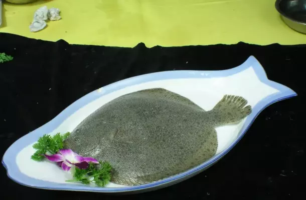 背過濾魚缸制作方法：如何選擇合適的背過濾魚缸 背過濾魚缸制作方法：如何選擇合適的背過濾魚缸 魚缸百科 第1張