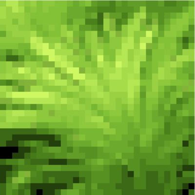 銀龍魚好養活嗎?(銀龍魚好養嗎需要什么設備)