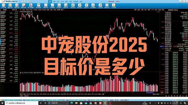 中寵股份2025目標價是多少【中寵股份2025年目標價是多少】