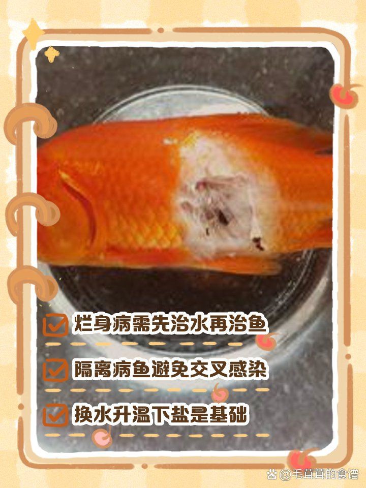 魚爛身病的治療方法，《魚爛身病的治療方法》