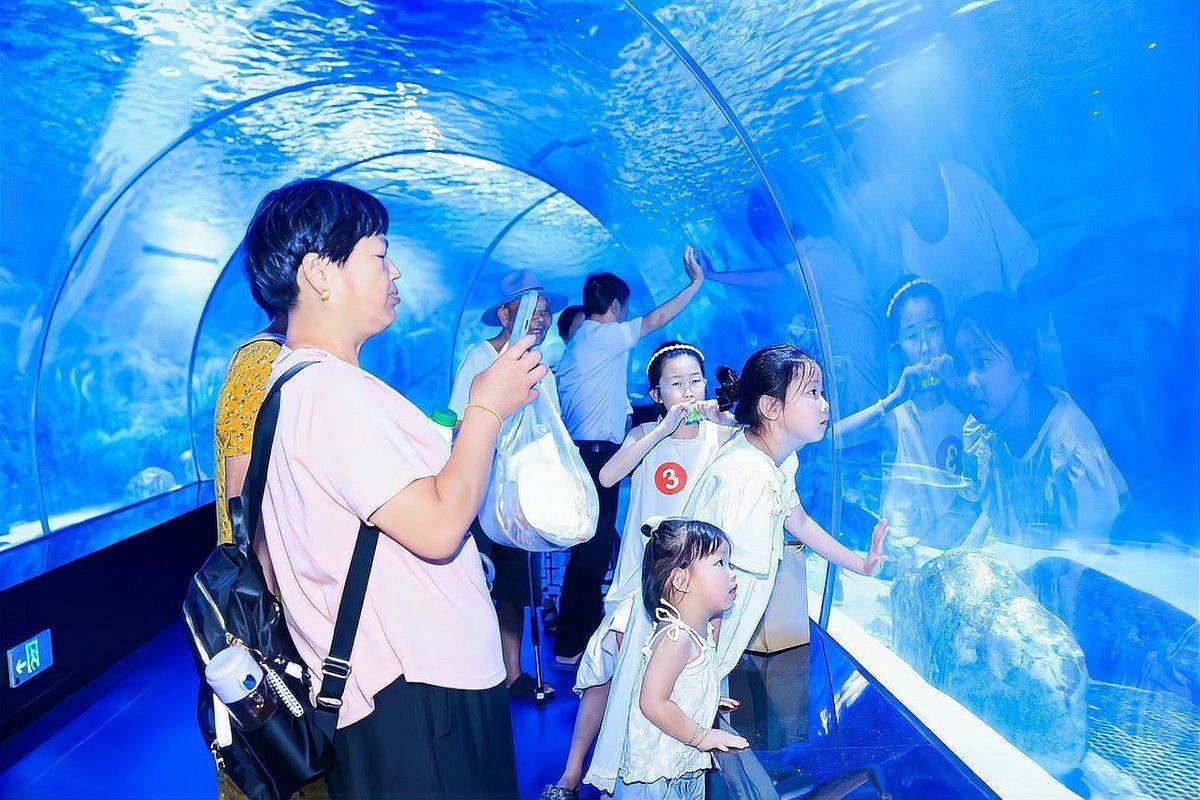 新邱水族店，新邱水族店探訪記