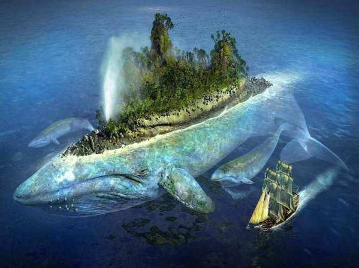 世界上什么魚最大【海洋巨無霸：世界上最大的魚類揭開它們的神秘面紗】 世界上什么魚最大【海洋巨無霸：世界上最大的魚類揭開它們的神秘面紗】 龍魚論壇 第5張